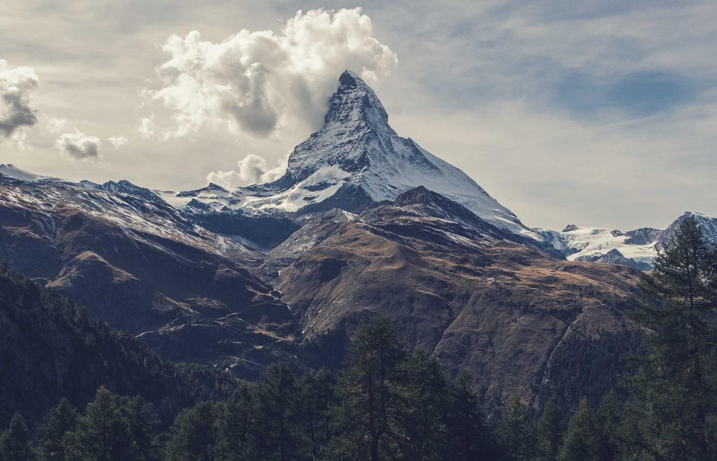 Portretul Cristinei Stan